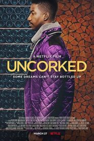 Uncorked (2020)